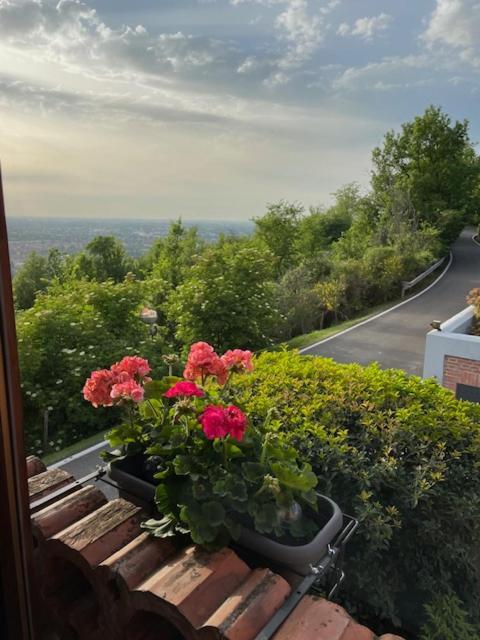 Podere Boschetto R&B Bologna Exterior foto